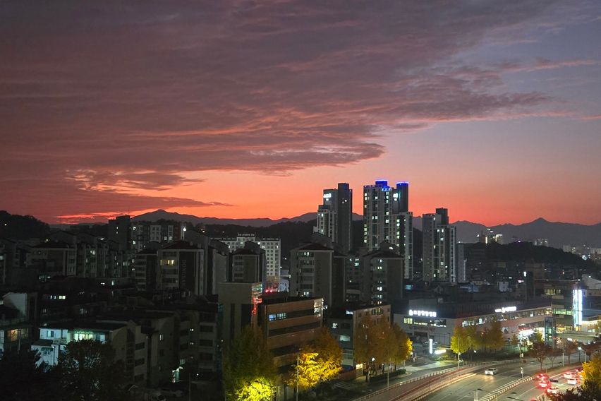 둔산동출장🤩아늑/깔끔