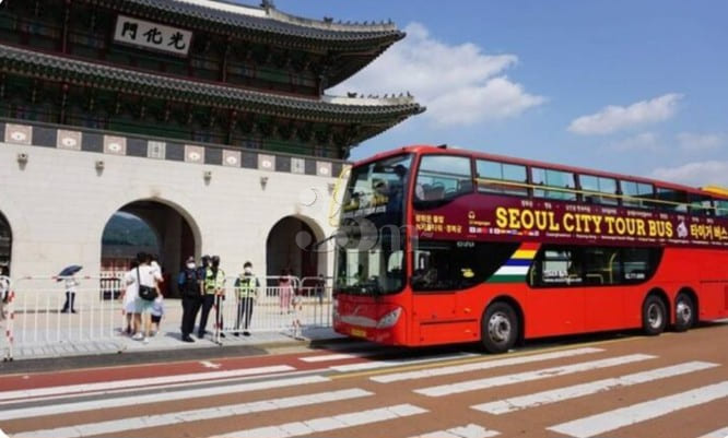 Dongmyo Jongno Comfort 17 19th image