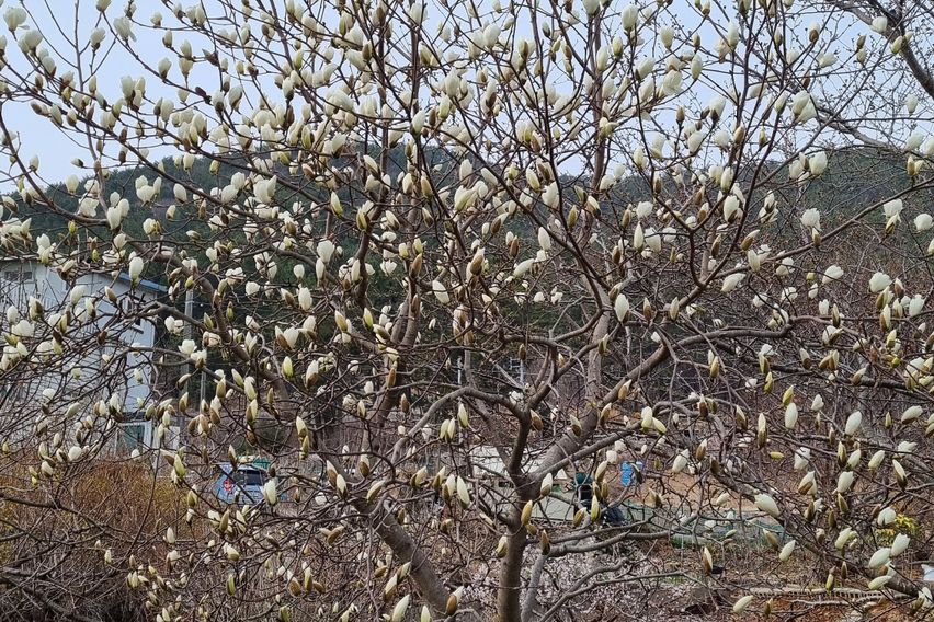 통영진우원룸 A호