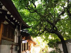 Namsan, Jongno, Myeong-dong 😍👍 10th image