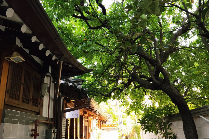 🎉안국역시티뷰속고궁