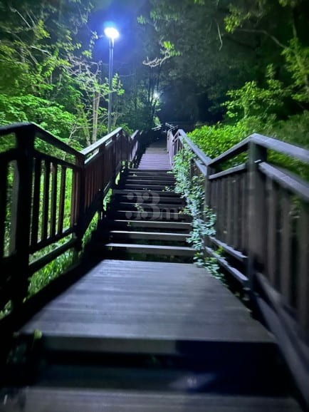 공원을 품은 3룸 빌라 19번째 이미지