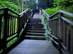 공원을 품은 3룸 빌라 19번째 이미지