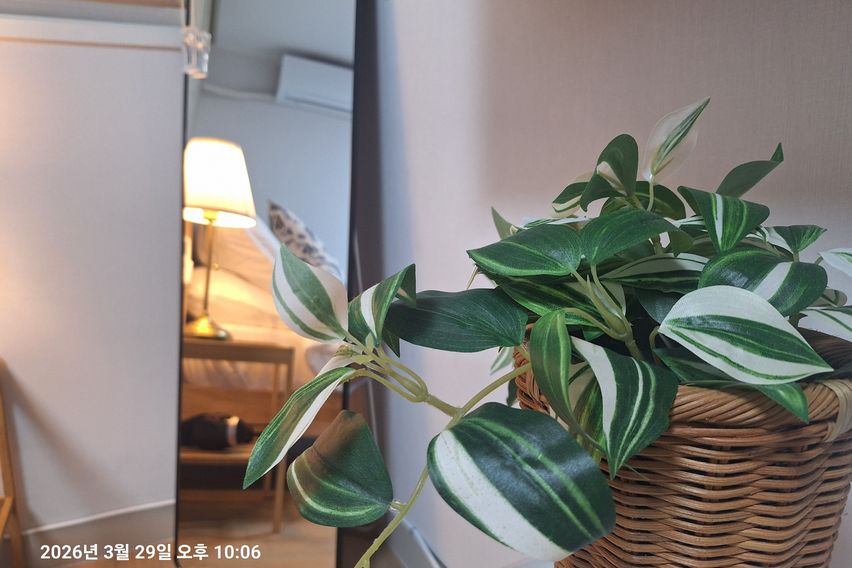 여기머물다  1번째 이미지