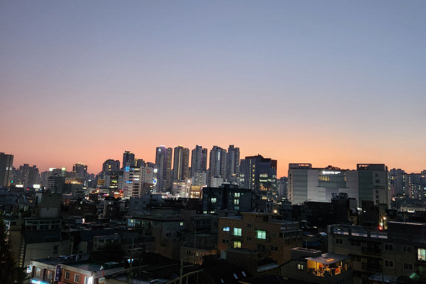 복층나무|반려동반 16번째 이미지