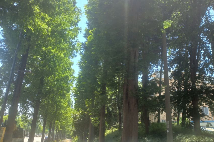 광주 솔로몬의 방 10번째 이미지