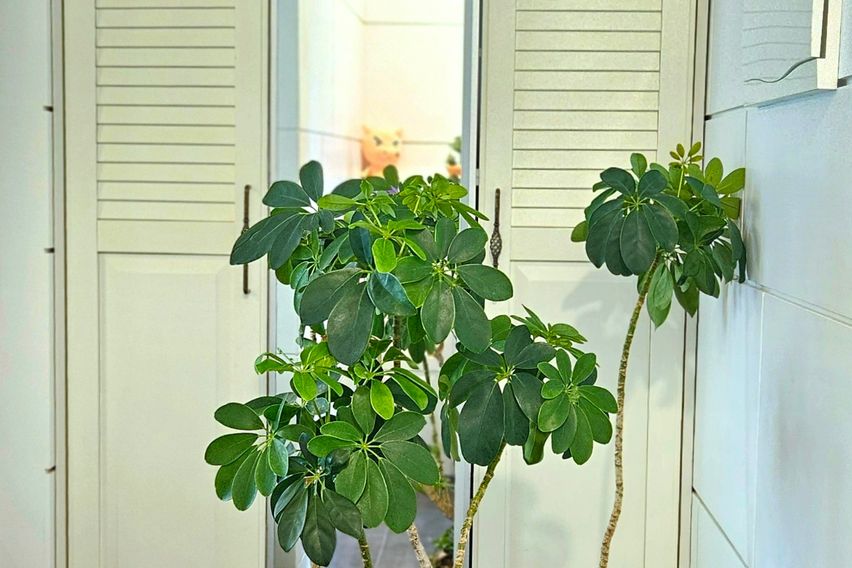 테라스와복층구조의쓰리룸 19번째 이미지