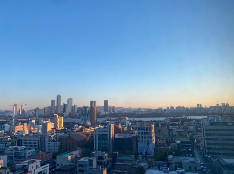 💕합정2초/홍대/마포