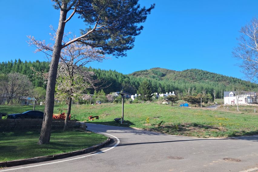 Daegwallyeong Sky Scent Pension A 14th image