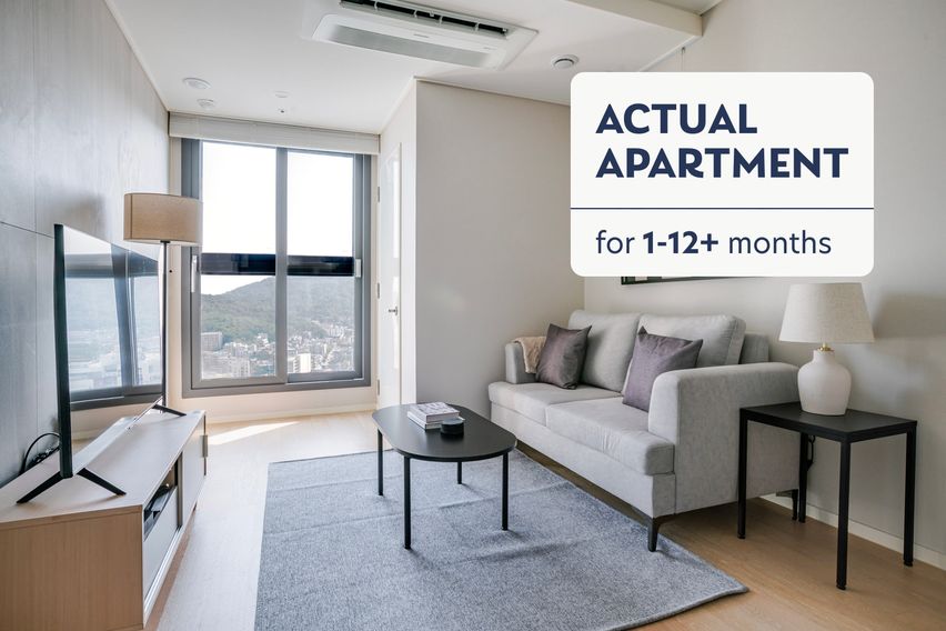 #43블루그라운드세운