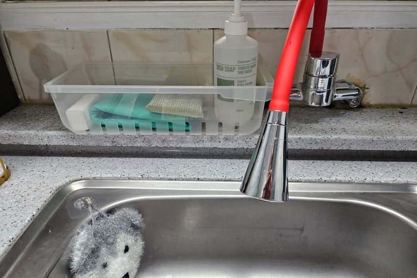 반려동물좋아요.