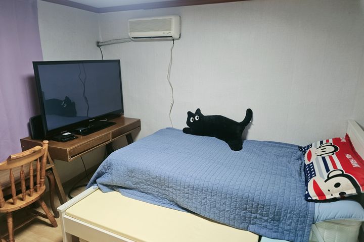 옥탑방 고양이  냐옹스 1번째 이미지