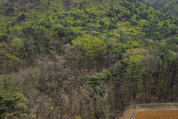 숲뷰🌳북울산남경주4룸 14번째 이미지