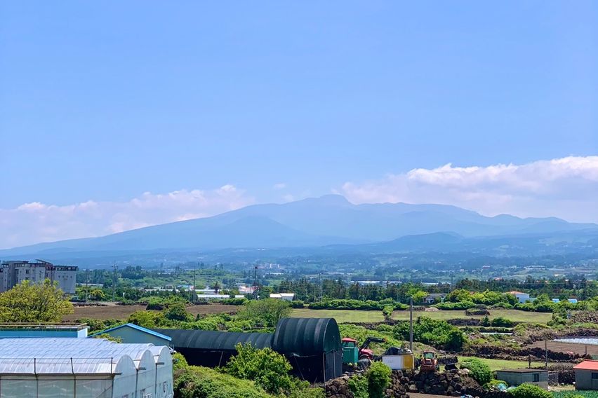 ✔️바라보다애월1동✔️