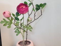 수원행궁❣감성스테이 3번째 이미지
