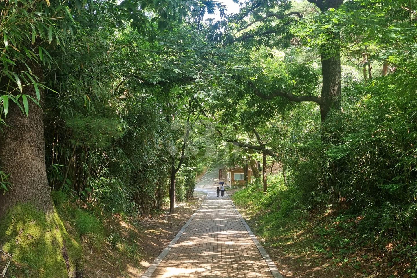 #SunHospital Internship – 1-Minute Walk! 10th image