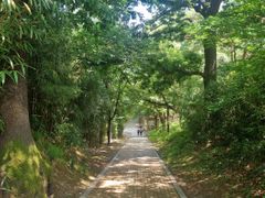 #선병원실습 도보1분! 8번째 이미지