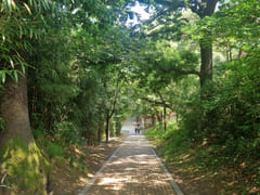 #SunHospital Internship – 1-Minute Walk! 10th image