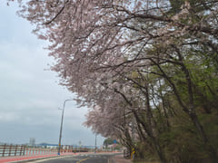 Business Trip to Sacheon City for Aerospace 14th image