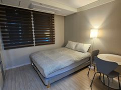 트루300B5 5번째 이미지