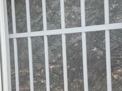 양산 오봉산등산길방 9번째 이미지