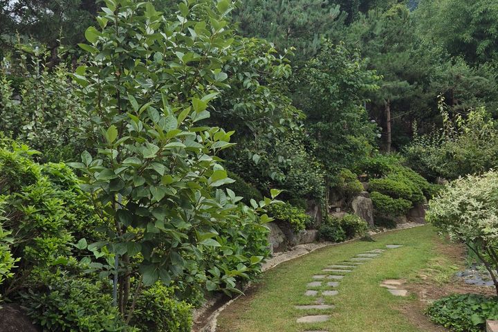 Detached house near Jeonju Hanok Village 19th image