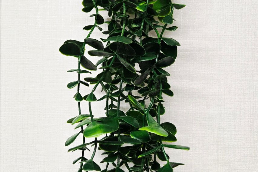 🎁잠실롯데월드/KSPO 16번째 이미지