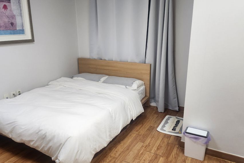 부산갈매기 501 특가