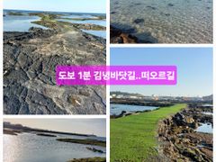 바닷가 김녕돌담집 1 17번째 이미지