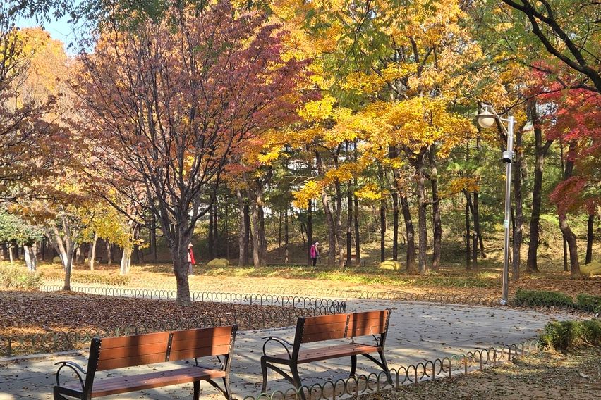 😽킴바 화정역3분 