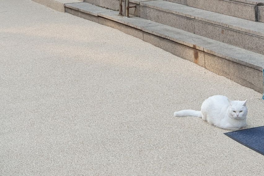 아트앤스테이 C302