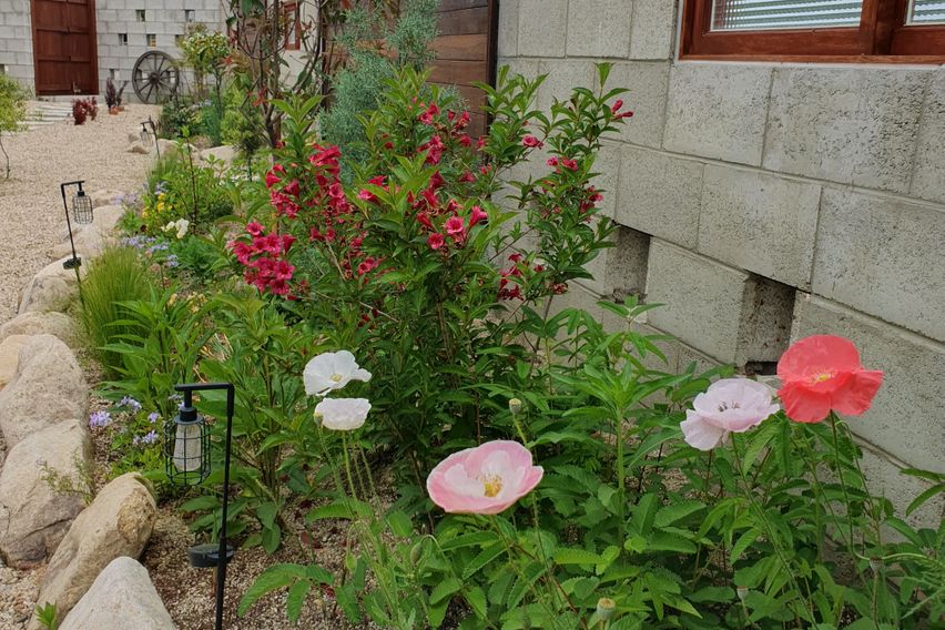 태봉산아래 스테이