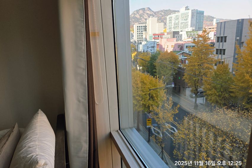 광화문경복궁 종로 시청 9번째 이미지