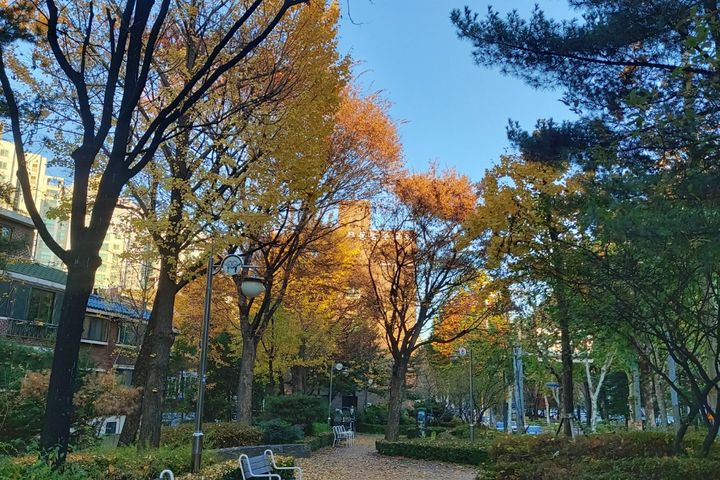 목동스테이 16번째 이미지