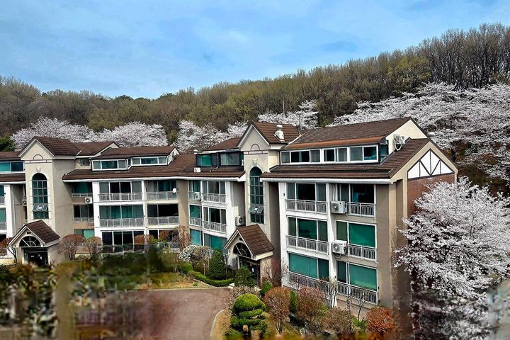 산속 자연과 새소리안전 1번째 이미지