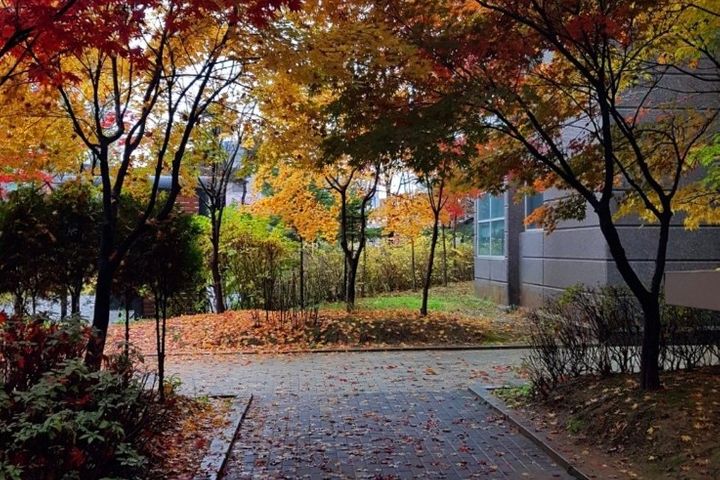 서정리/지제역/평택역 12번째 이미지