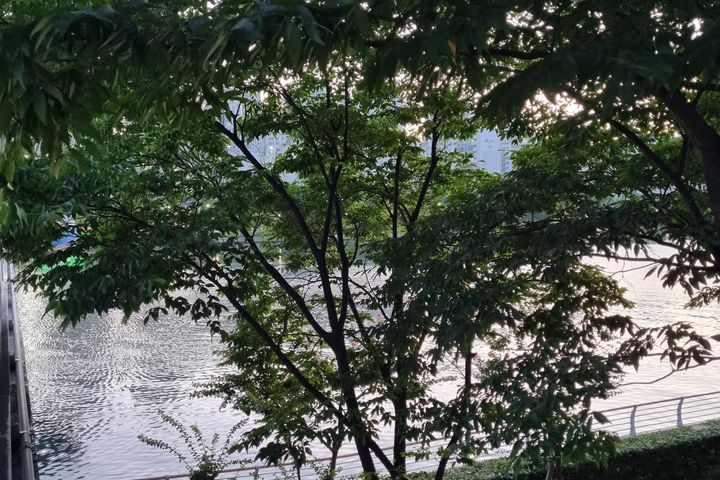 🏙️광안리센텀풀옵션2 13번째 이미지