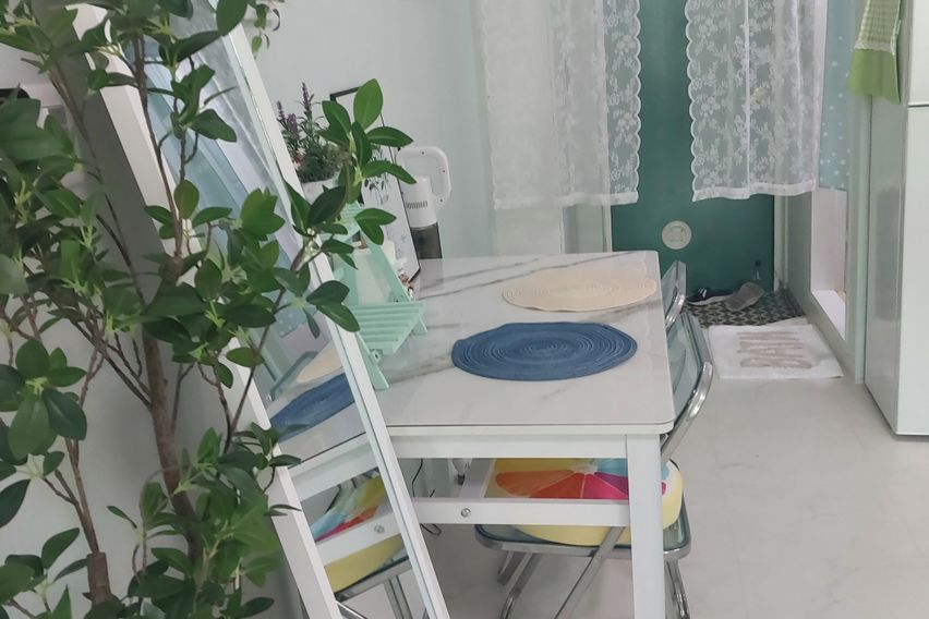 둔산동출장♡여행도시뷰