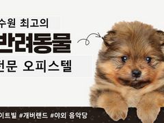 반려동물 가능,수원시청 11번째 이미지