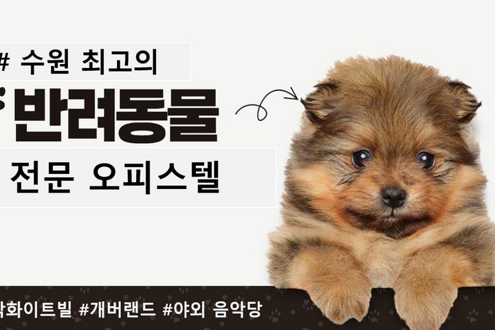 반려동물 가능,수원시청 11번째 이미지