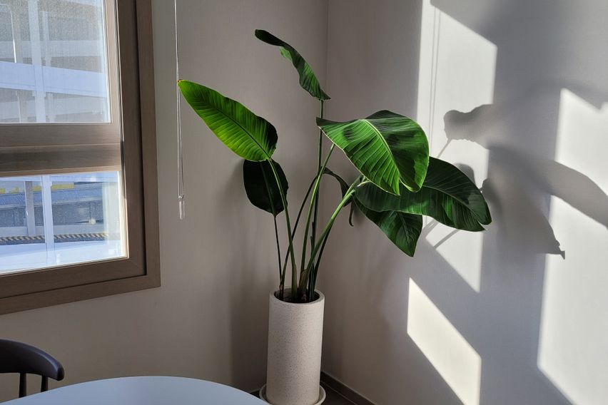 안산 신축 쓰리룸오션뷰