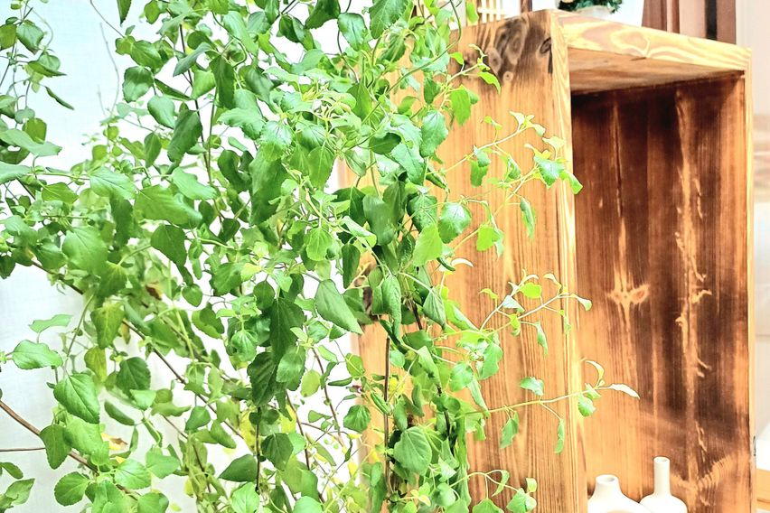 용마산힐링스테이 14번째 이미지