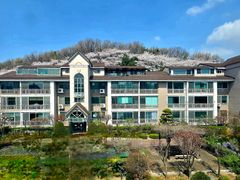 산속 자연과 새소리안전 2번째 이미지