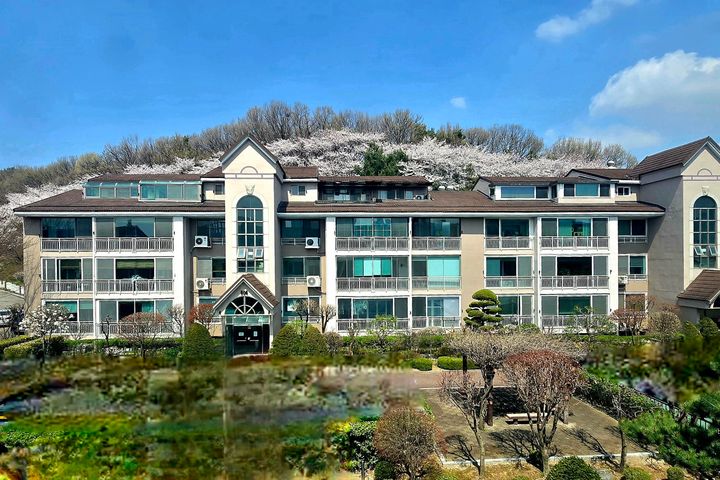 산속 자연과 새소리안전 2번째 이미지