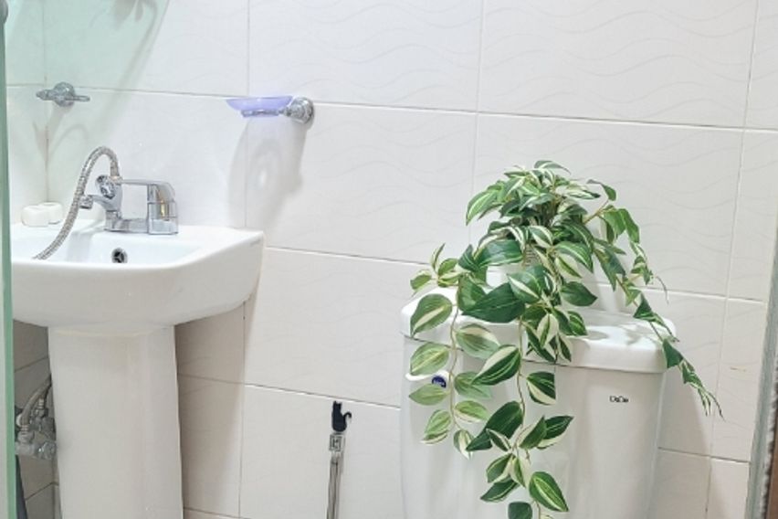 227스테이-스탠다드