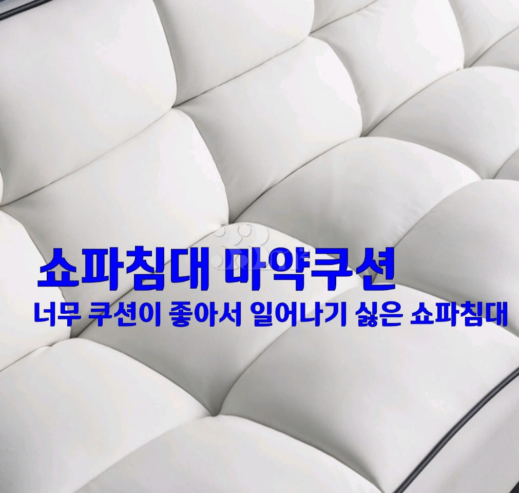 🌈Gwanghwamun Gyeongbokgung Station Fully Fur 8th image