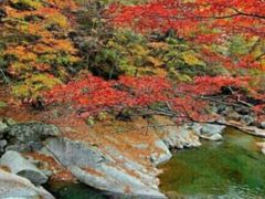속초울산바위미키하우스 10번째 이미지