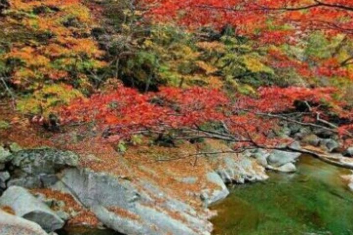 속초울산바위미키하우스 10번째 이미지