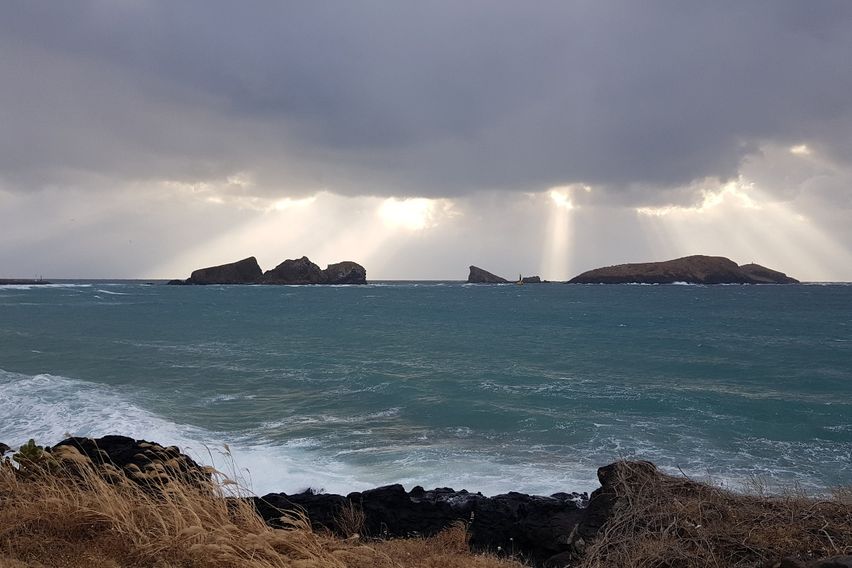 예쁜노을 독채-노을담B