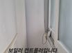  전남대학교 후문 3분 9번째 이미지